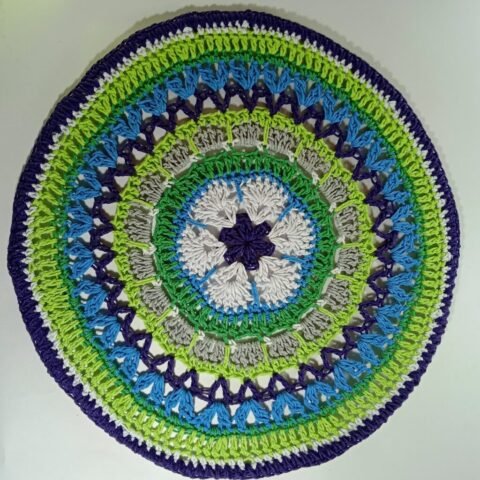 IMG_20220131_115903_1